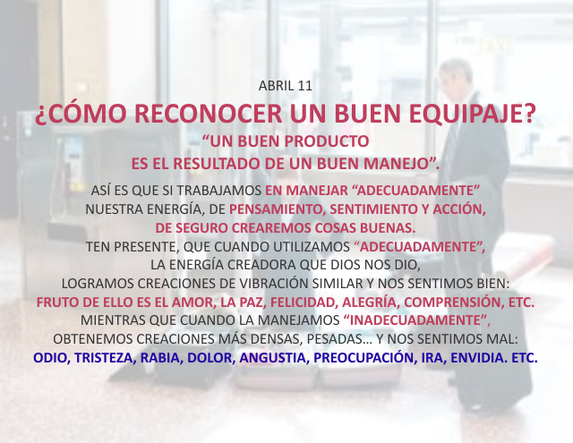 Cómo reconocer un buen equipaje?